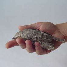 Small Dead Birds as a Unit of Measure (Failing), 2006-2008