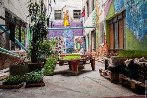 Vertical Garden 2