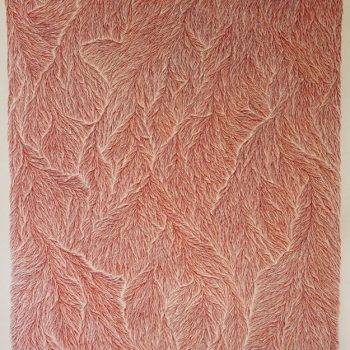 Bloom (09/04/2017) 2017, Ink on Paper, 46inx66in
