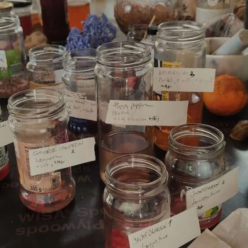 Natural dyes made by artists-in-residence at Quinta das Relvas, October 2023.