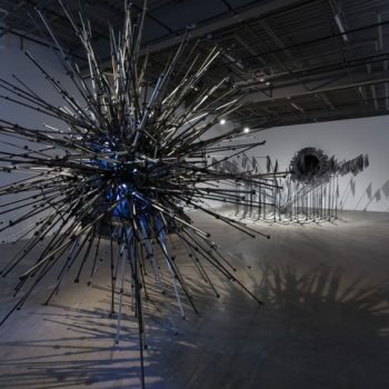 Michael A. Robinson, Subject to scrutiny, 2015