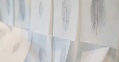 52946014750_31b834086c_o