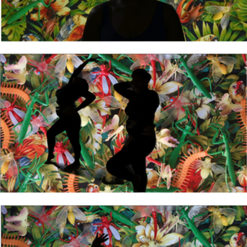 2017, video installation, video stills, dimensions variable