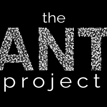 ANT-Project-logo