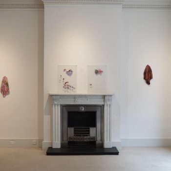 Eva Chiara Trevisan, A Foreign Place, exhibition view, courtesy of D Contemporary London