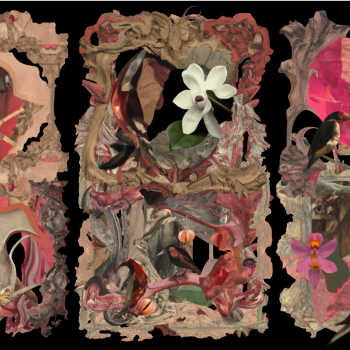 Debora Hirsch_PLANTALIA, 2024. Video animation, 5'20''