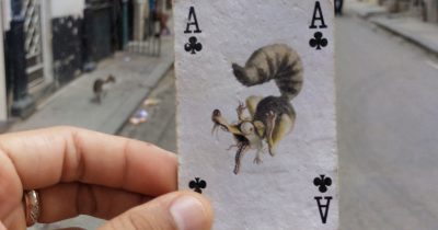 Playing card found at Villegas and Obrapía, June 30th 2023 - Documentation of found objects from the series Itineraries