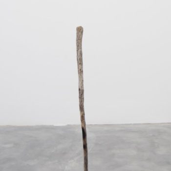Dimensions and distances compared from the Earth to the Moon, 2010