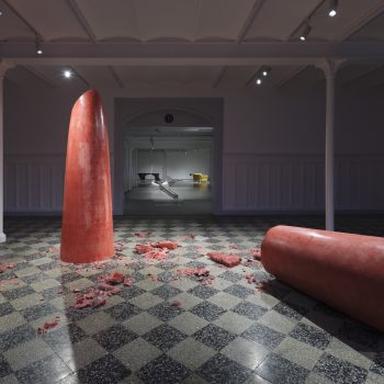Julie Stavad, "I am here for pleasure but it is no fun", 2022, solo exhibition at O-Overgaden, Photo by Anders Sune Berg