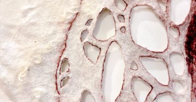 Ruth Jeyaveeran, Acts of Self Healing (detail), Silk, wool, yarn, Dimensions variable, 2026
