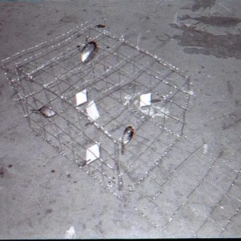 Jiangshengyu Nova Pan, multi-screen cinema, 8 in X 14 in X 9 in, wire, mussel shell, paper, clip