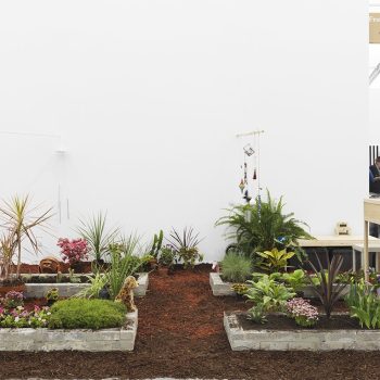 Ariel Reichman. Regarding the Memory of Others, 2014 plants, vitrines, stone, objects, mixed media. dimensions variable