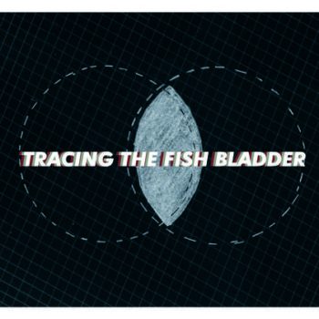 Tracing The Fish Bladder Invitation Card_Front