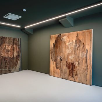 Verónica, 2024 
Oil on paper, dibond, mdf and glass 
Courtesy by Rialto6 and Rita Ferreira
Photo by Vasco Vilhena