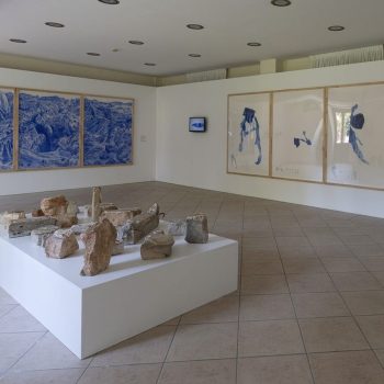 Rafael Villares, "Terra ignota" installation view, 59th Venice Biennale, 2022.