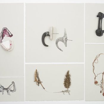 Objects and their Doubles (detail) 2017, Objects: Aqua resin, plastic umbrella handle, metal rod, wood, flattened pinecone, polymer clay, iron hook, rope, embroidered thread, dental mold, rusted wire, rock, water caltrop (devil pod), leather glove, leather glove tip, steel rod, cholla cactus skeleton, milkweed seedpod, human hair, pigment, dried plant, paper, methyl cellulose, fishing net, fabric, thread; Drawings: Watercolor and ink on BFK Rives paper Dimensions variable (23 x 83 x 7 inches in museum vitrine at the Bronx Museum of the Arts, Bronx, NY)