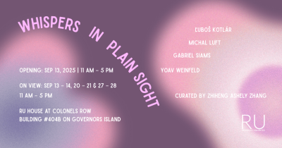 Whispers in Plain Sight webpage