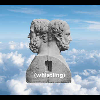Lene Lekše. Whistling strategies Zoom debate, 2021, sound installation. Courtesy of the artist.