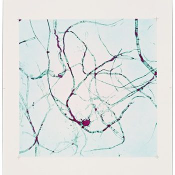 X90-446/90-90(A)/P1/T102/D49 - Love in the Early Evening I, 2011-2012