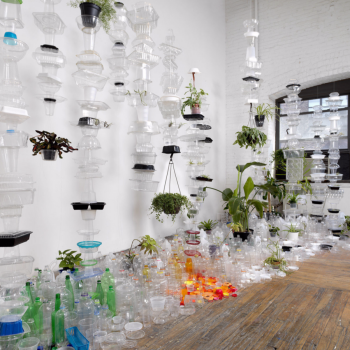 Plastic Topographies, 2018. plastic and plants