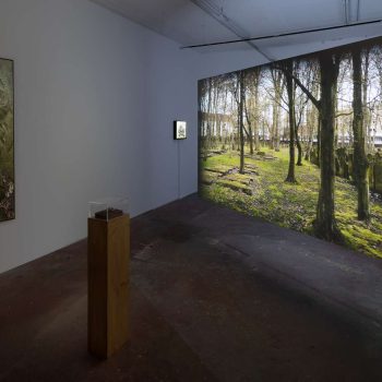 The whole world is full of suffering, everyone finds their own, 2024, installation view, video, photography and sculpture, Indie Collective Photograph Gallery, Israel. Photography credit: Tal Nisim.